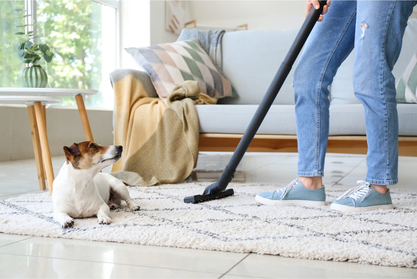 woman vacuuming next to her pet